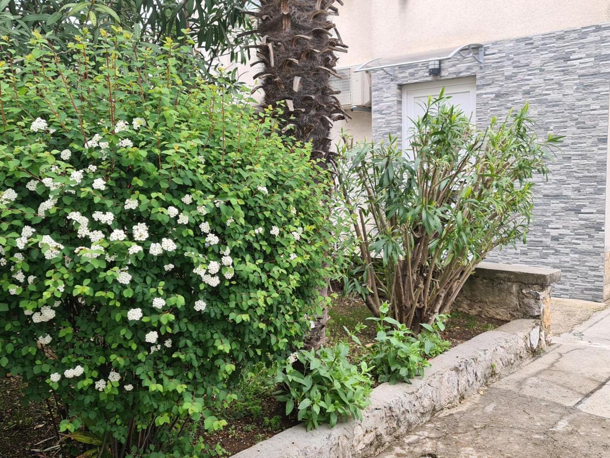 Apartman Nika Crikvenica Dış mekan fotoğraf